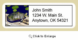Turtle Address Labels