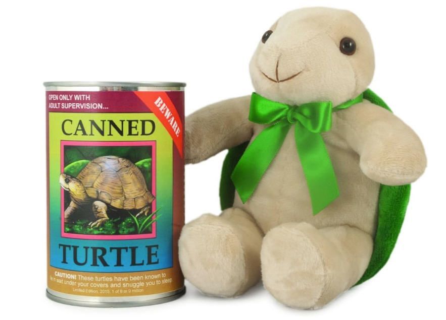 Turtle Canned Critter's 6