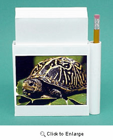 Turtle Hold-a-Note