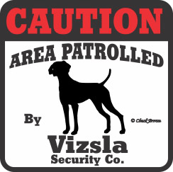 Vizsla Bumper Sticker Caution