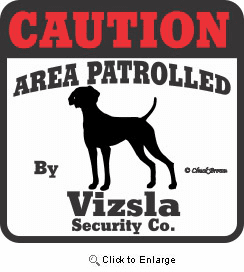 Vizsla Bumper Sticker Caution