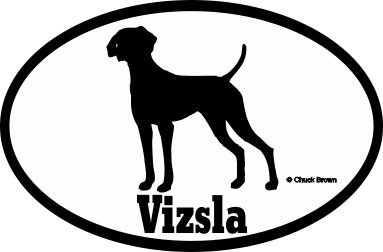 Vizsla Bumper Sticker Euro