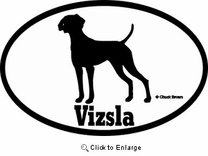 Vizsla Bumper Sticker Euro