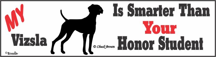 Vizsla Bumper Sticker Honor Student