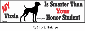 Vizsla Bumper Sticker Honor Student