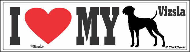 Vizsla Bumper Sticker I Love My