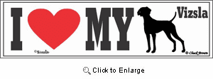 Vizsla Bumper Sticker I Love My