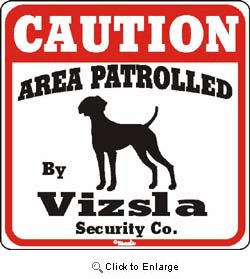 Vizsla Caution Sign