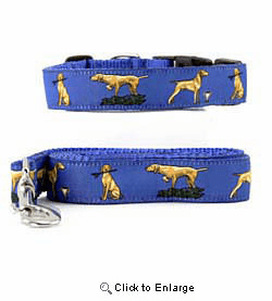 Vizsla Collar & Leash
