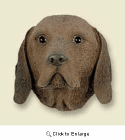 Vizsla Magnet