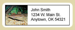 Walleye Address Labels