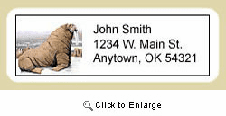 Walrus Address Labels
