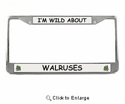 Walrus License Plate Frame
