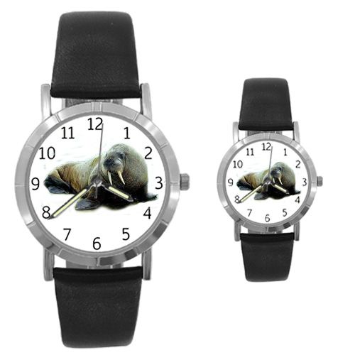 Walrus Watch