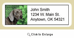 Weimaraner Address Labels