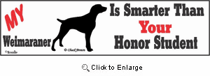 Weimaraner Bumper Sticker Honor Student