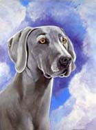 Weimaraner Garden Flag