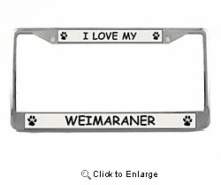 Weimaraner License Plate Frame