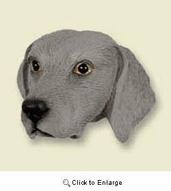 Weimaraner Magnet