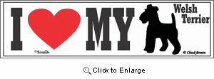Welsh Terrier Bumper Sticker I Love My