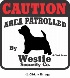 West Highland Bumper Sticker Caution