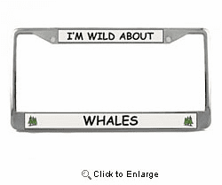 Whale License Plate Frame