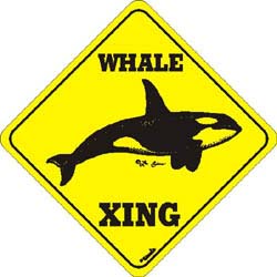 Whale Crossing