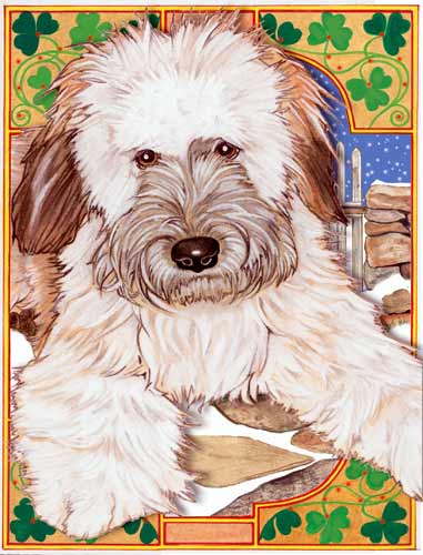 Wheaten Terrier Christmas Cards