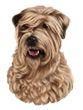 Wheaten Terrier Decal Window Sticker