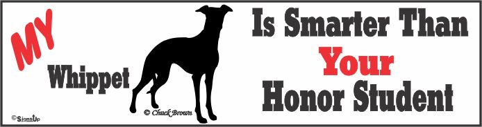 Whippet Bumper Sticker Honor Student