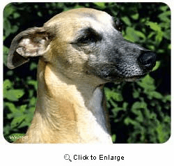 Whippet Mousepad