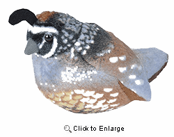Wild Republic Audubon Birds "California Quail" Plush Stuffed Bird with Authentic Bird Sound 5"