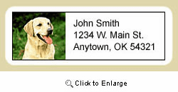 Yellow Lab Address Labels