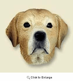 Yellow Lab Magnet