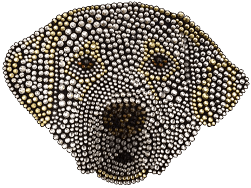 Yellow Lab T-Shirt Rhinestone-Rhinestud