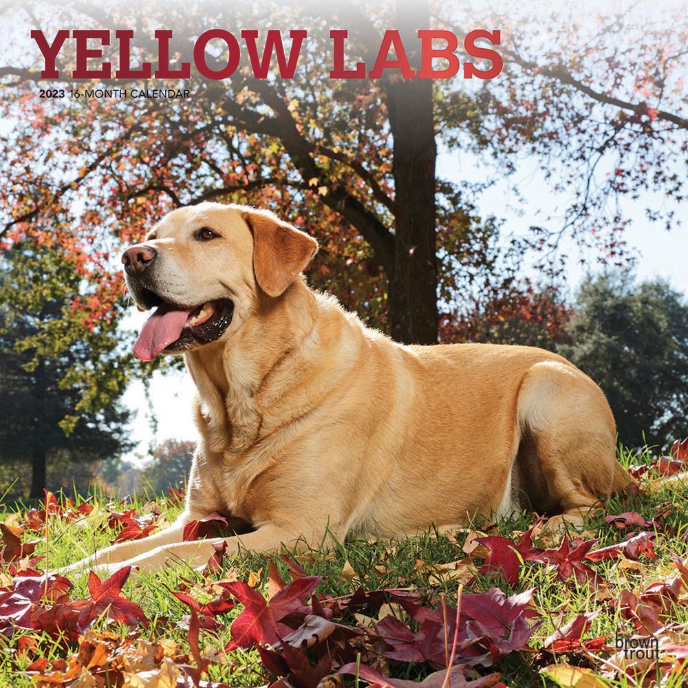 Yellow Lab Dog Lover Gifts - AnimalDen.com