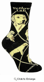 Yellow Labrador Socks on Black