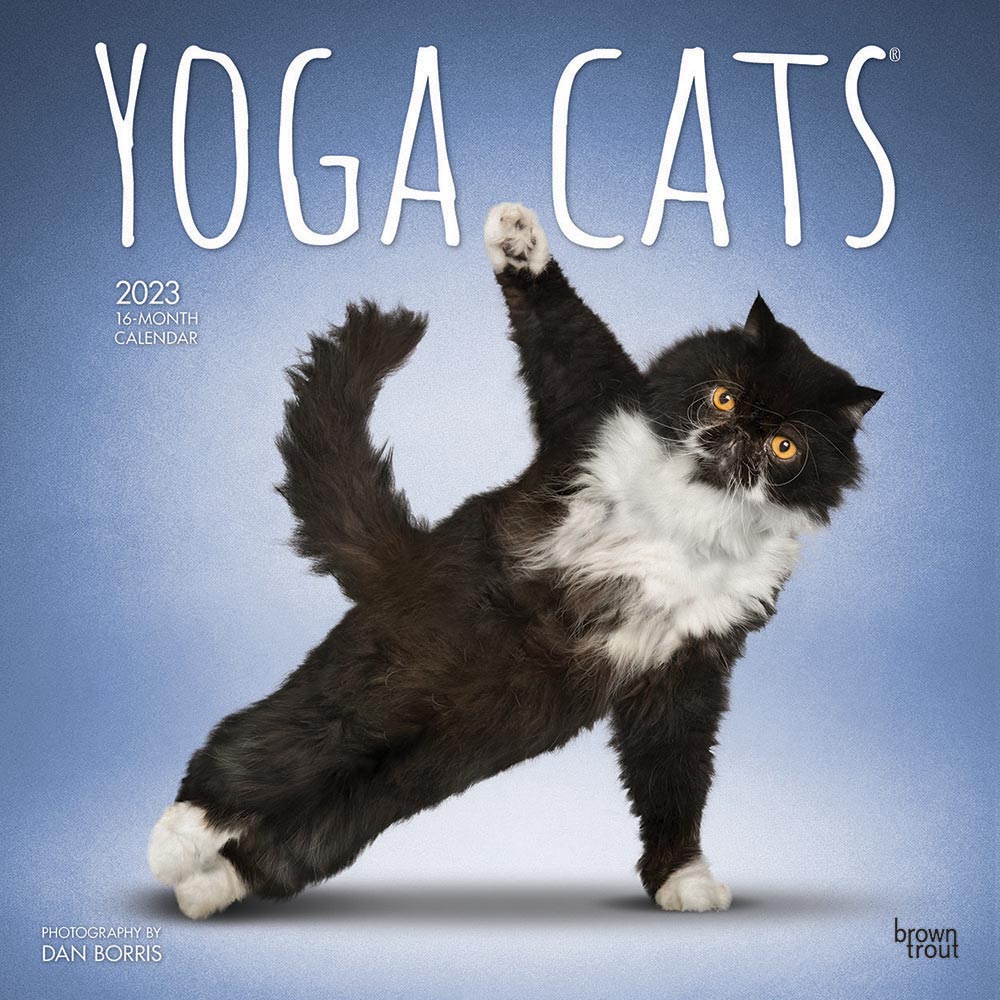 Yoga Cats Calendar 2023 | Animal Den