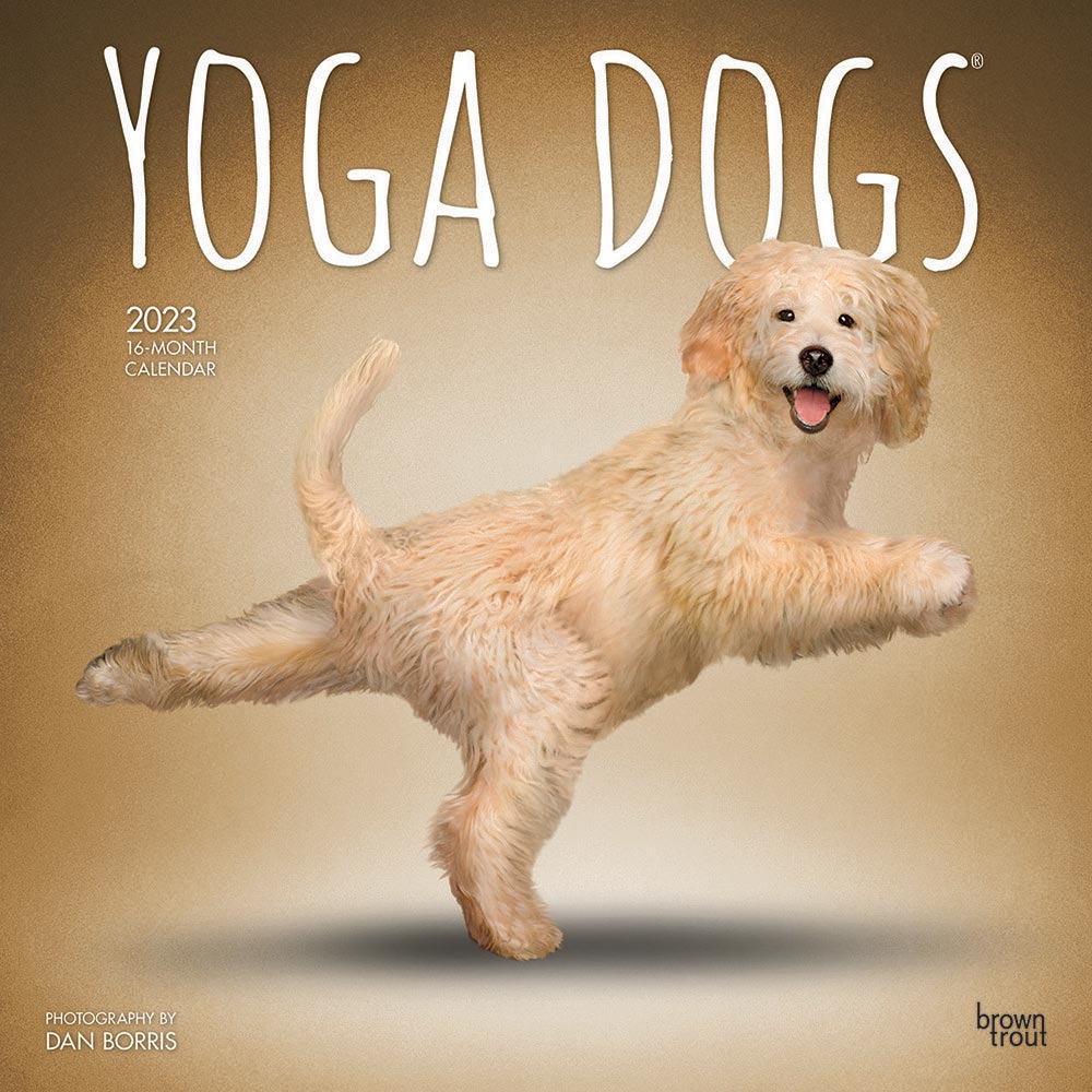 2023 Yoga Dogs Calendar