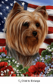 Yorkie House Flag Show Cut