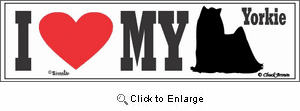 Yorkshire Terrier Bumper Sticker I Love My