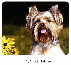 Yorkshire Terrier Coasters