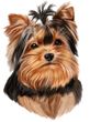 Yorkshire Terrier Decal Window Sticker