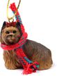 Yorkshire Terrier Tiny One Christmas Ornament