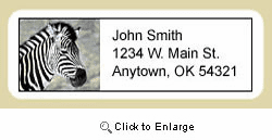 Zebra Address Labels
