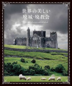 Beautiful Abandoned Castles and Churches Reference Book