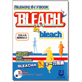 bleach-in-bleach-data-book-20.gif