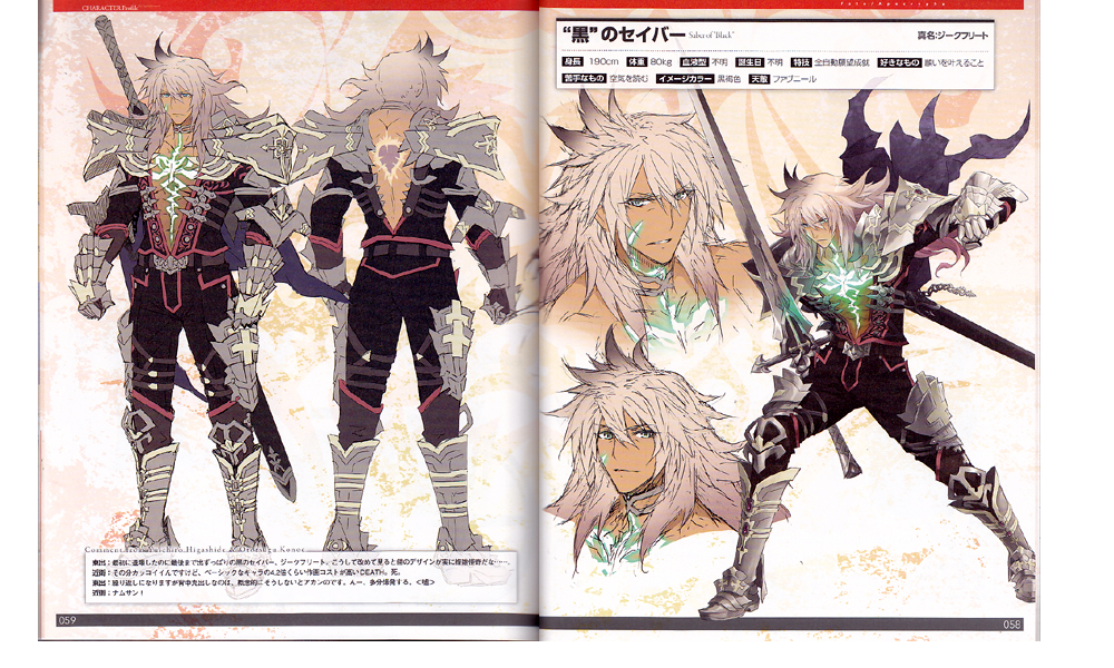 Fate/Apocrypha material Art Book - Anime Books
