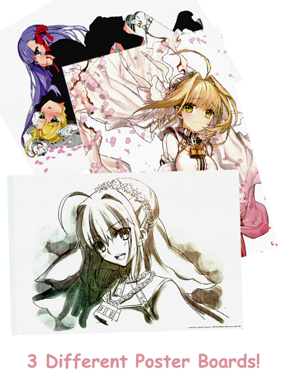 Fate/EXTRA CCC OP Animation Production Note Art Book Collector's Box ...