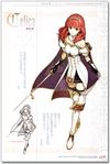 Fire Emblem Echoes: Shadows of Valentia Memorial Book Valentia Accordion Art Book